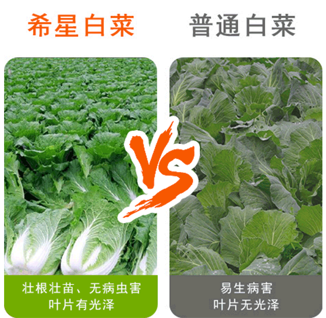 菌動力-含鋅微生物菌肥