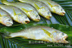 青島港進(jìn)口魷魚清關(guān)需要幾天？需要注意哪些問(wèn)題  魷魚
