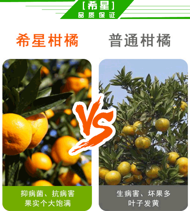 生物有機(jī)菌肥-菌動(dòng)力（含鋅）