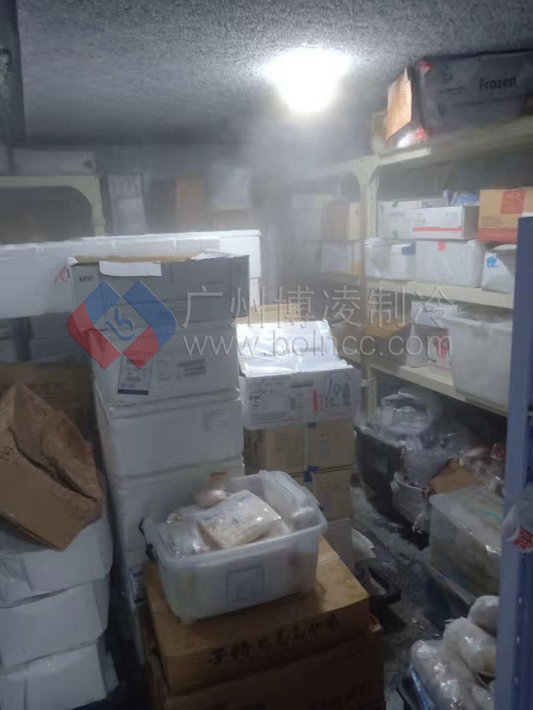 速凍冷庫 冷庫全套設(shè)備*廠家