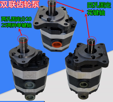 2CB-FA10/10-FL 齒輪油泵