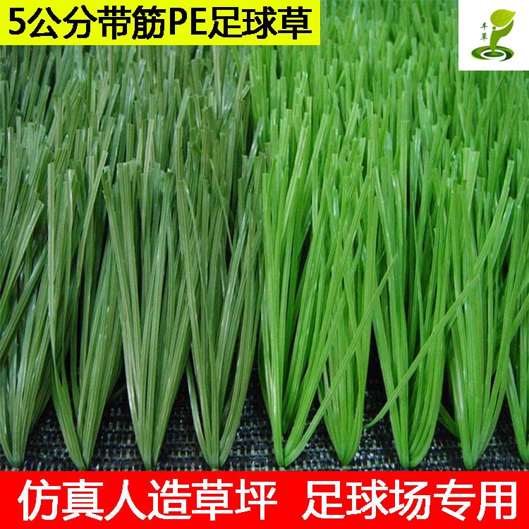 廣州豐草學(xué)校操場塑料假草雙面帶筋草足球運(yùn)動場人造草坪5公分PE材質(zhì)人工草皮