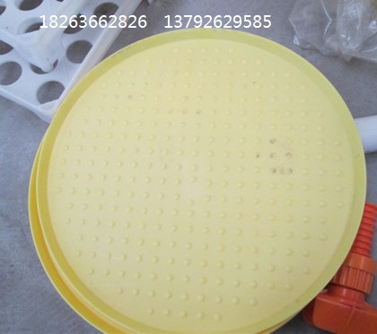 圓形開食盤圖片 圓形喂食盤型號 雛雞*加食盤