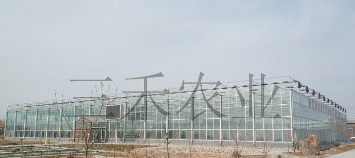 蔬菜溫室大棚造價