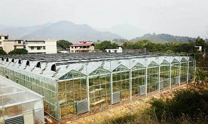 陽(yáng)光板溫室大棚價(jià)格