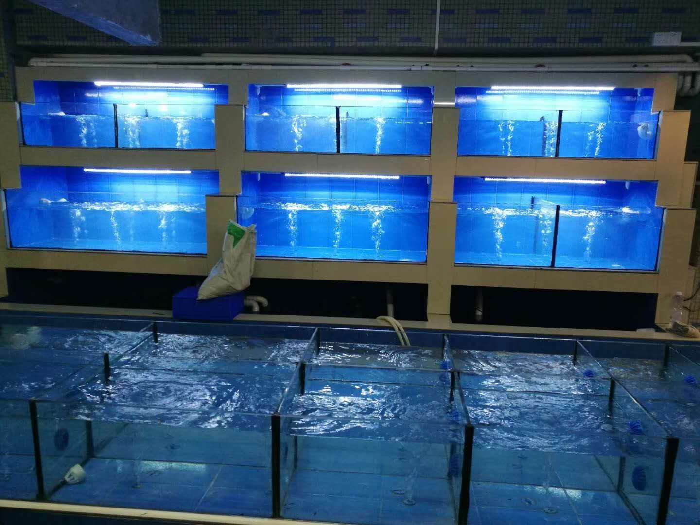 定做海鮮魚缸的報價是多少|(zhì)中山定做海鮮魚池找哪家公司比較專業(yè) 定做海鮮魚缸的報價是多少
