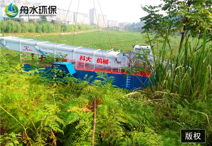 全自動(dòng)水葫蘆打撈船 水葫蘆收割船 河道保潔船