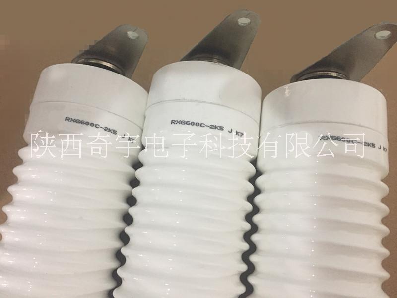 RXG600D大功率電阻器