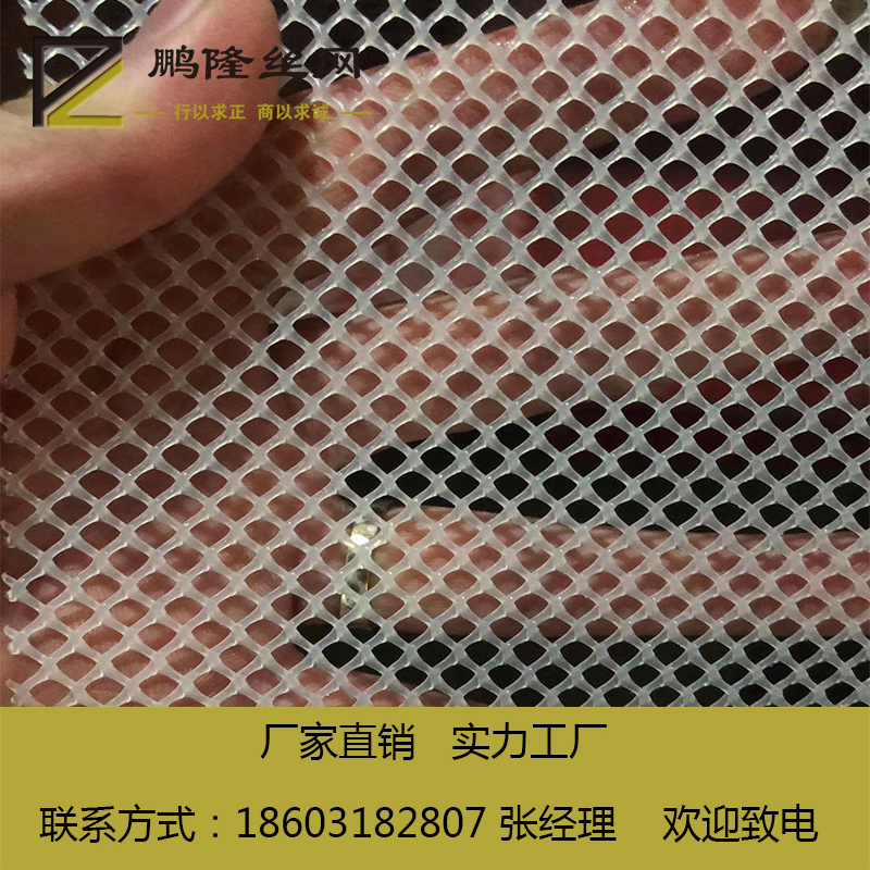 供應(yīng)河北鵬隆絲網(wǎng)  養(yǎng)蝦塑料平網(wǎng) 水產(chǎn)養(yǎng)殖塑料平網(wǎng) *廠家