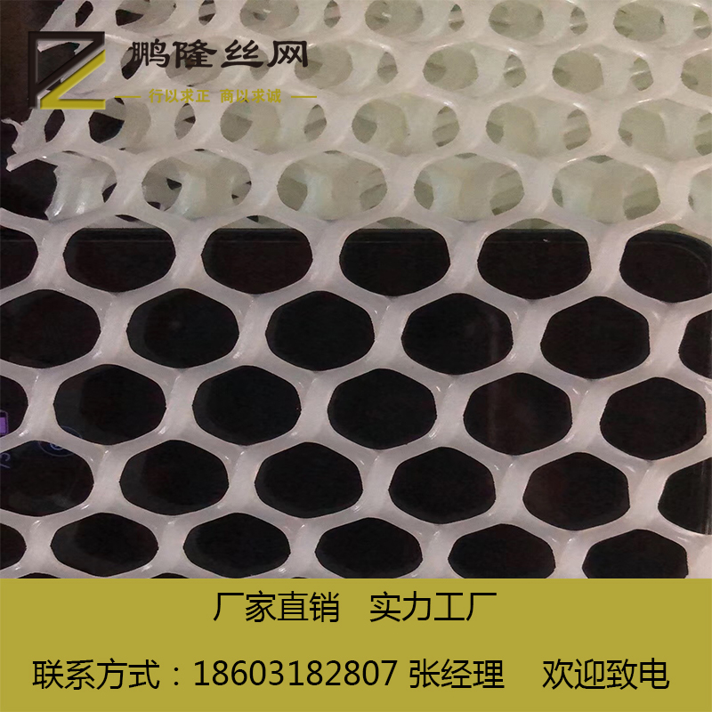 供應(yīng)河北鵬隆絲網(wǎng) 實(shí)體工廠 養(yǎng)蝦塑料平網(wǎng) 水產(chǎn)養(yǎng)殖 塑料平網(wǎng)