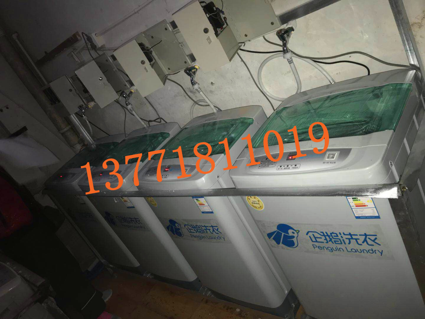 海丫商用投幣洗衣機SXB60-918學(xué)校宿舍洗衣機、工廠投放洗衣機