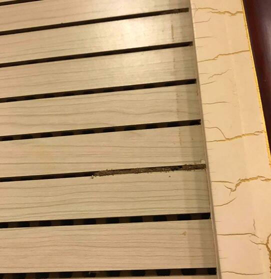 信陽房屋白蟻預(yù)防工程/電話/價(jià)格