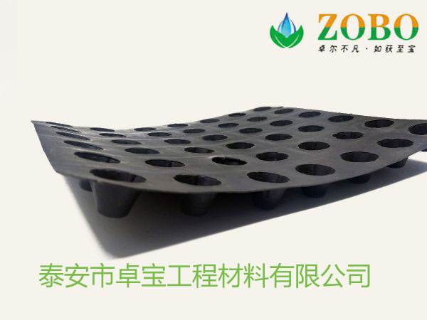 供應規(guī)格齊全排水板