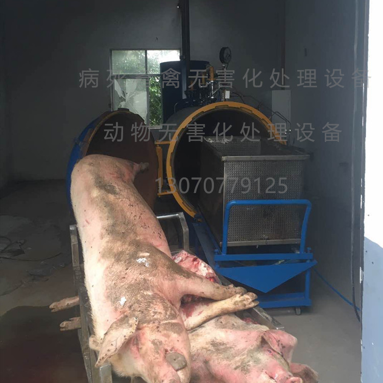 畜禽無(wú)害化處理設(shè)備 廠家直銷 病死牛羊無(wú)害化處理設(shè)備 廠家直銷