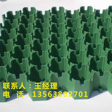 綠色植草格山東泰安直銷商