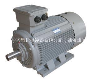 廠家生產(chǎn) *惠  YB2D系列隔爆型變極多速三相異步電動機 產(chǎn)品優(yōu)點  防爆 性能穩(wěn)定 維護方便