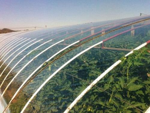 大量批發(fā)日本PO膜_PO膜廠家電話_價(jià)格_供應(yīng)商