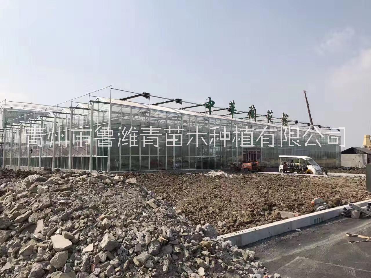 專業(yè)承接溫室工程項目-溫室工程專業(yè)建造商