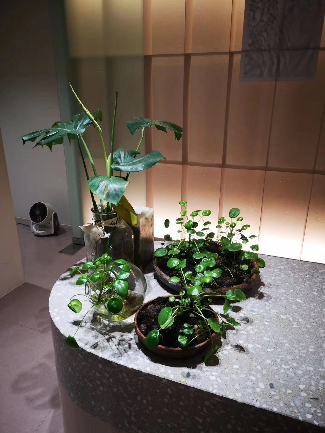 上?；瘖y品代加工廠 科技創(chuàng)新企業(yè)