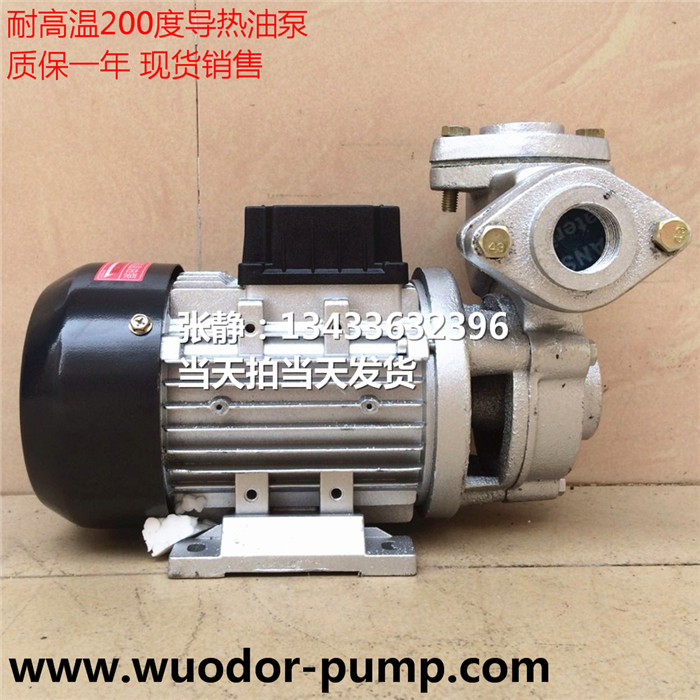 TS-63高溫導(dǎo)熱油泵  模溫機高溫馬達(dá) 熱水循環(huán)泵