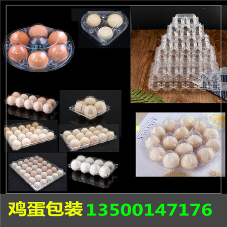 透明蛋托_廣東雞蛋包裝盒