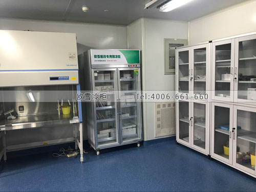 福建藥品陰涼柜常用規(guī)格價(jià)格是多少