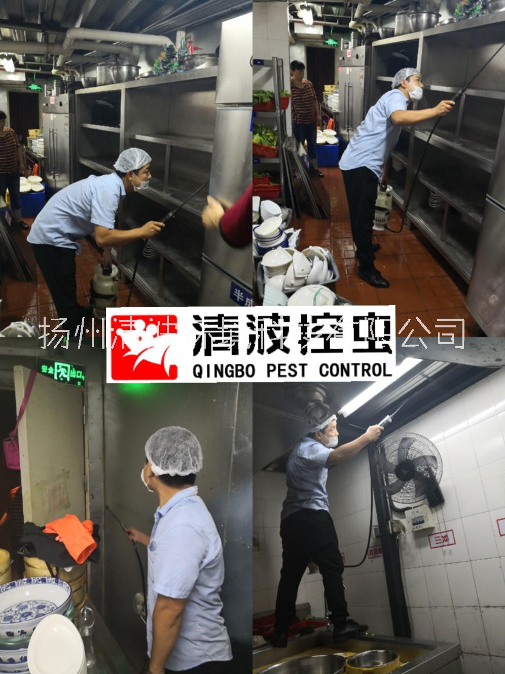 揚(yáng)州 泰州 鎮(zhèn)江 滅蟑螂公司 除蟑螂公司 殺蟑螂公司 防蟑螂公司 服務(wù)公司 消殺施工公司