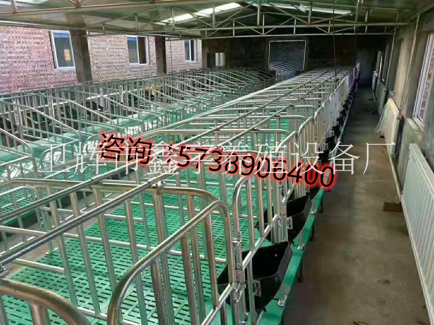 養(yǎng)豬廠設(shè)備母豬定位欄母豬限位欄