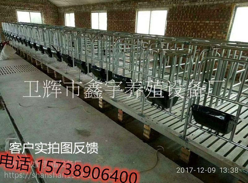 養(yǎng)豬廠設(shè)備母豬定位欄母豬限位欄