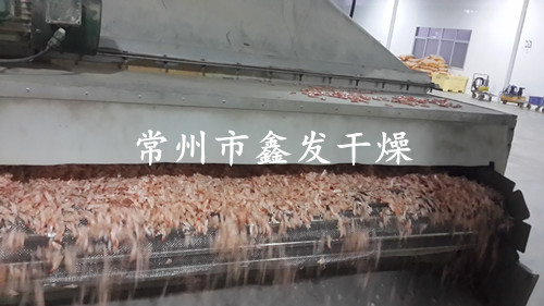 小龍蝦殼*網(wǎng)帶式干燥機(jī)