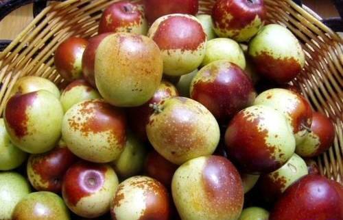 山西運(yùn)城冬棗批發(fā)，山西運(yùn)城冬棗供應(yīng)商，山西運(yùn)城冬棗價(jià)格