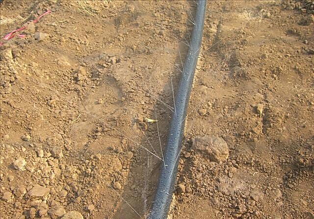 山東微噴帶廠家直銷，質(zhì)優(yōu)價(jià)廉