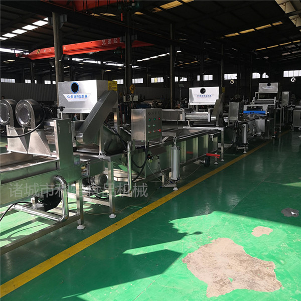 蔬菜加工流水線，果蔬加工清洗線。果蔬加工成套設備