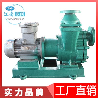 江南ZCQ80-65-125氟塑料合金自吸磁力泵