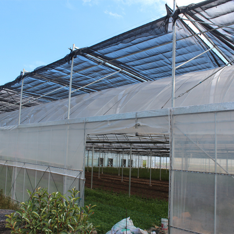 文絡(luò)式玻璃溫室，濟(jì)農(nóng)園藝智能溫室，玻璃溫室 92文絡(luò)式玻璃溫室