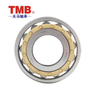 常州市廠家直銷TMB圓柱滾子軸承 天馬軸承價(jià)格 滾子軸承供應(yīng)商