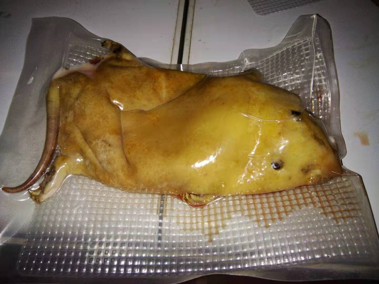 長(zhǎng)期供應(yīng)*肉、供應(yīng)優(yōu)質(zhì)商品鼠、種苗