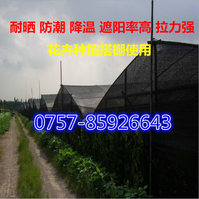 大棚遮陽(yáng)網(wǎng)|加密三針遮陽(yáng)網(wǎng)|防曬降溫膠絲網(wǎng)-佛山市南海區(qū)叁象彩條布店