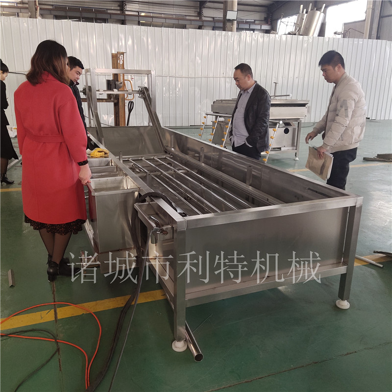 上海青氣泡翻浪清洗機  菠菜清洗機 葉菜清洗機設備