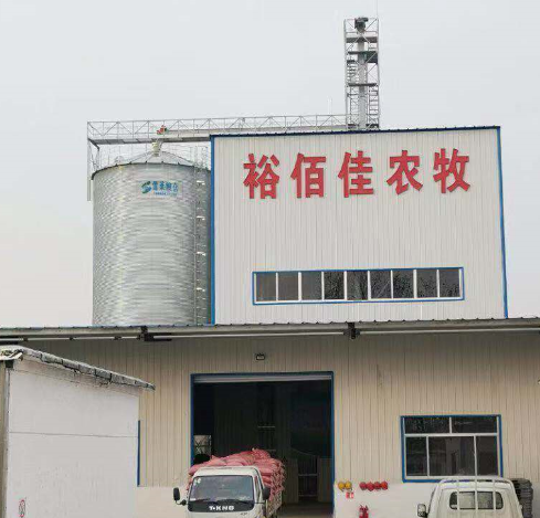 烘干機(jī)配套200噸水稻潮糧倉(cāng)  鍍鋅鋼板烘干塔* 存儲(chǔ)方便價(jià)格低