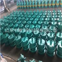 礦用風(fēng)動(dòng)泵廠家直銷FQW25-50/W呂梁興縣煤礦用井下小型潛水排污泵