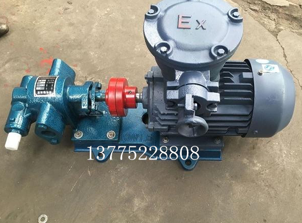江蘇防爆齒輪泵廠家、價格、批發(fā)【常州市武眾導(dǎo)熱油泵有限公司】