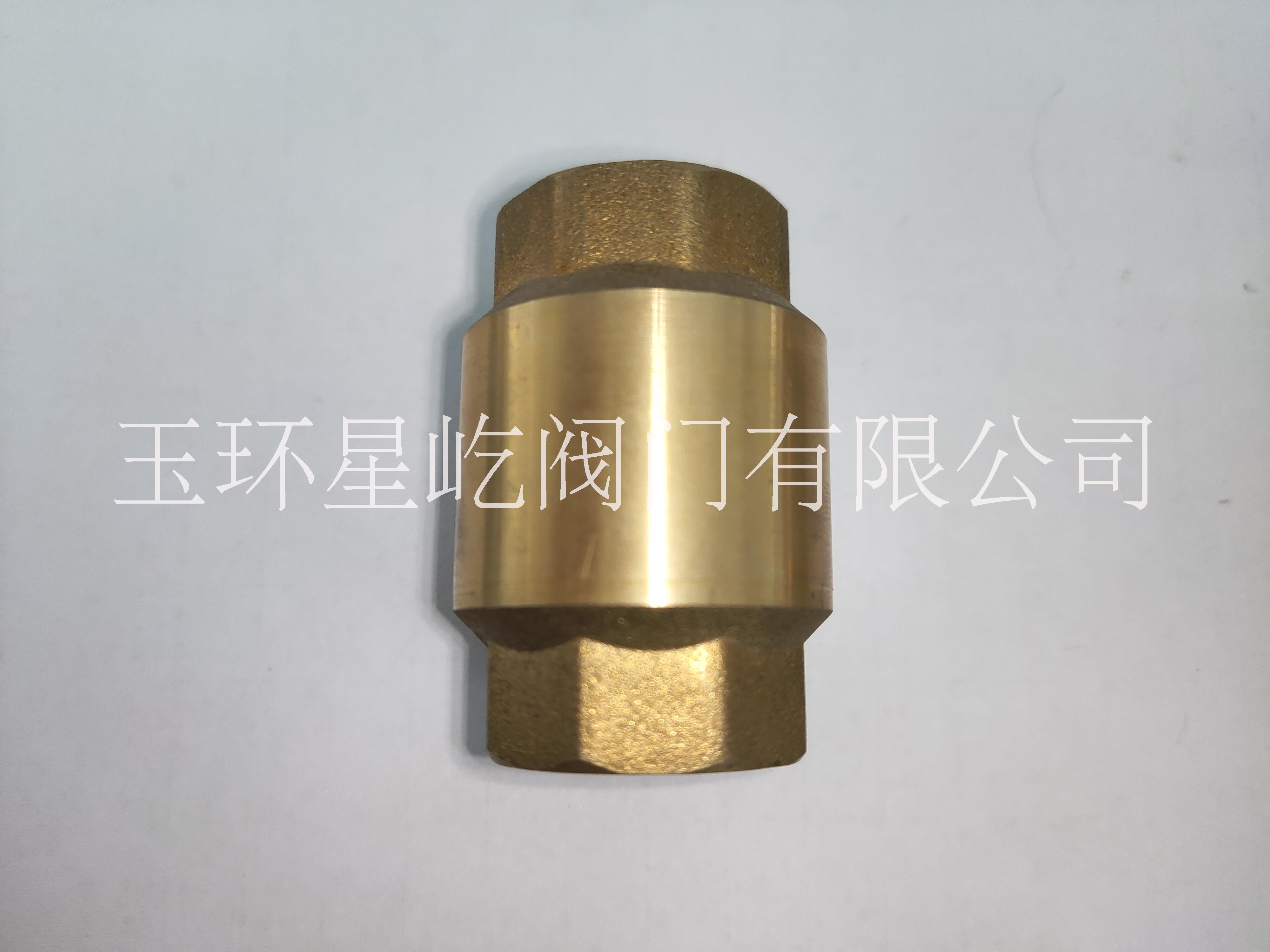 廠家直銷不銹鋼旋啟式彈止回閥單向xy-502 彈簧止回閥 彈簧止回閥xy-502 彈簧止回閥黃銅塑料芯子帶網過濾