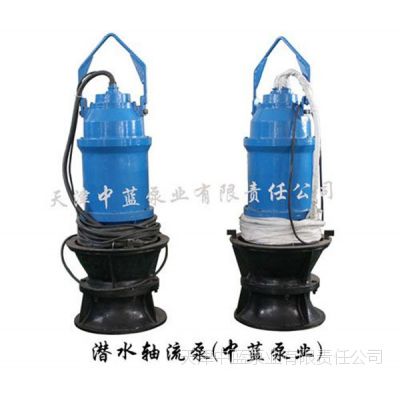 QSZ中吸式簡(jiǎn)易軸流泵