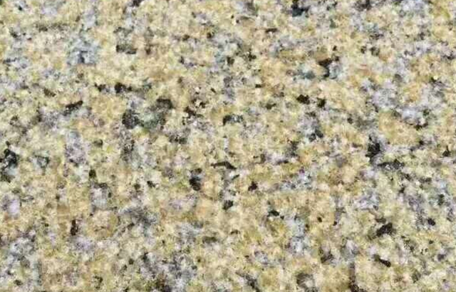 雪蓮花報(bào)價(jià)