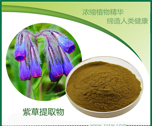 紫草提取物 紫草莖葉、根部比例提取物