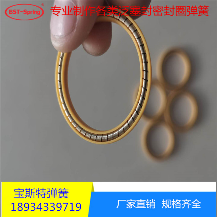 LNG加液*彈簧  低溫彈簧 進口合金彈簧