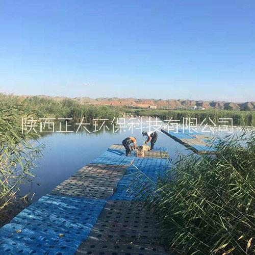 泰安景觀水生態(tài)治理浮動濕地載體