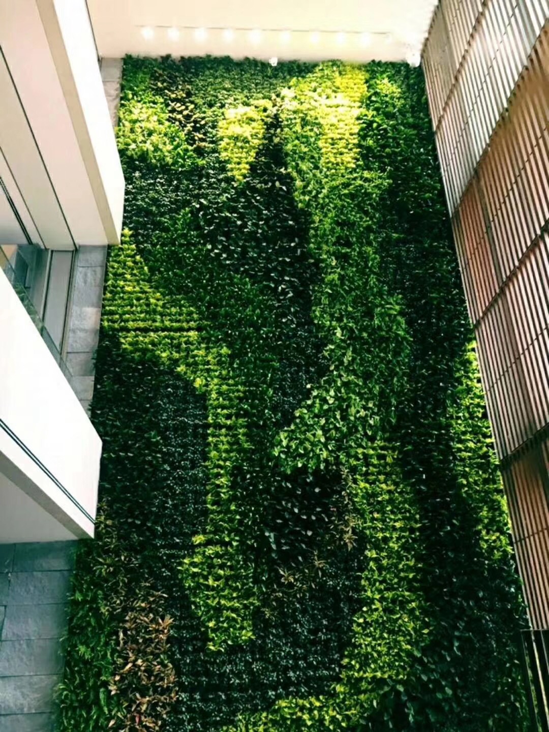 苔蘚植物墻 室內(nèi)苔蘚植物墻