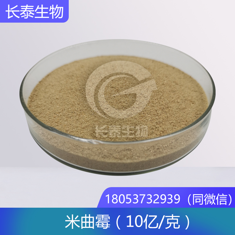 米曲霉 生物飼料發(fā)酵菌種 畜禽有益菌廠家直銷
